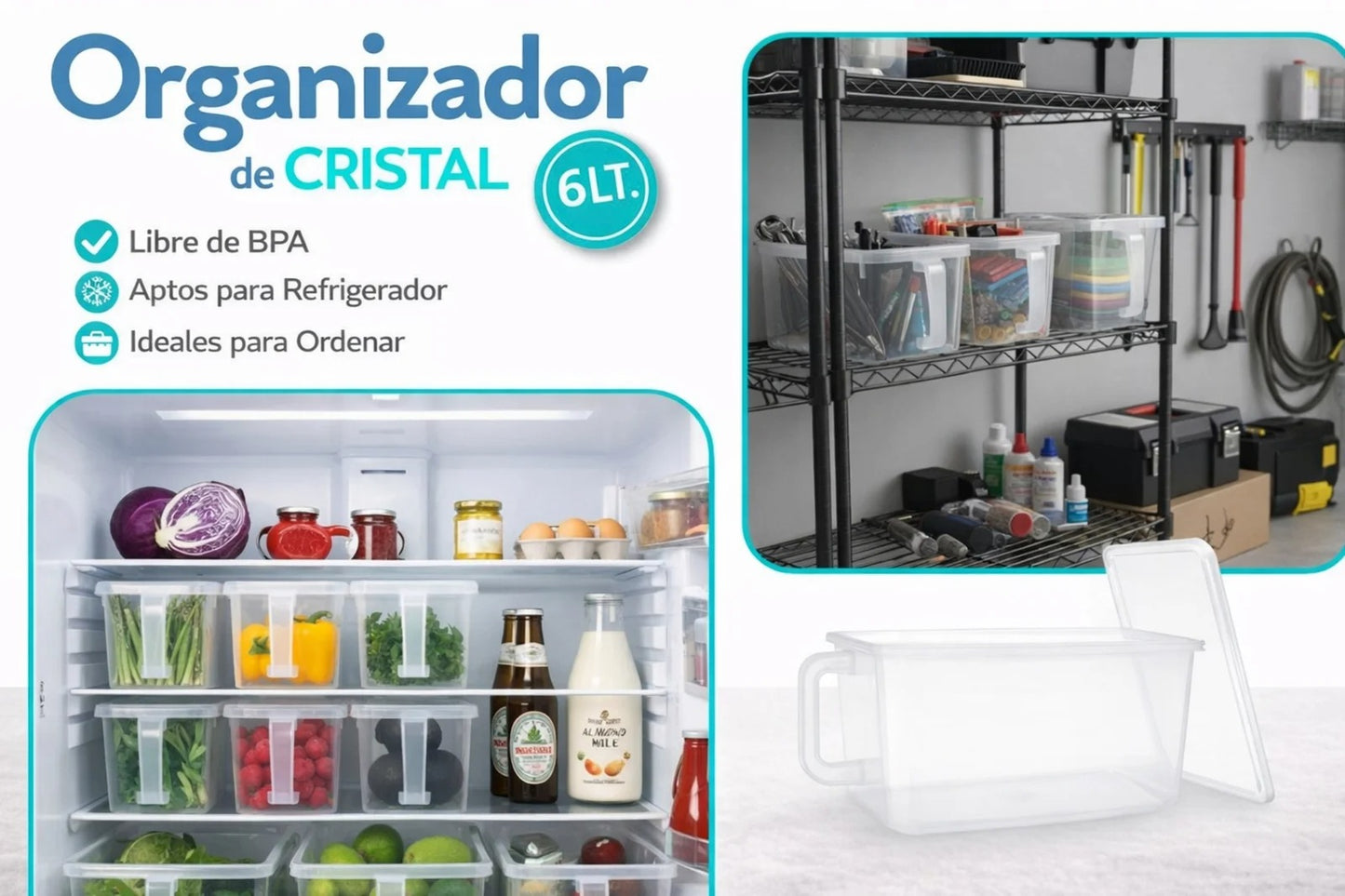 Organizador x 2